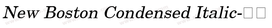 New Boston Condensed Italic字体转换
